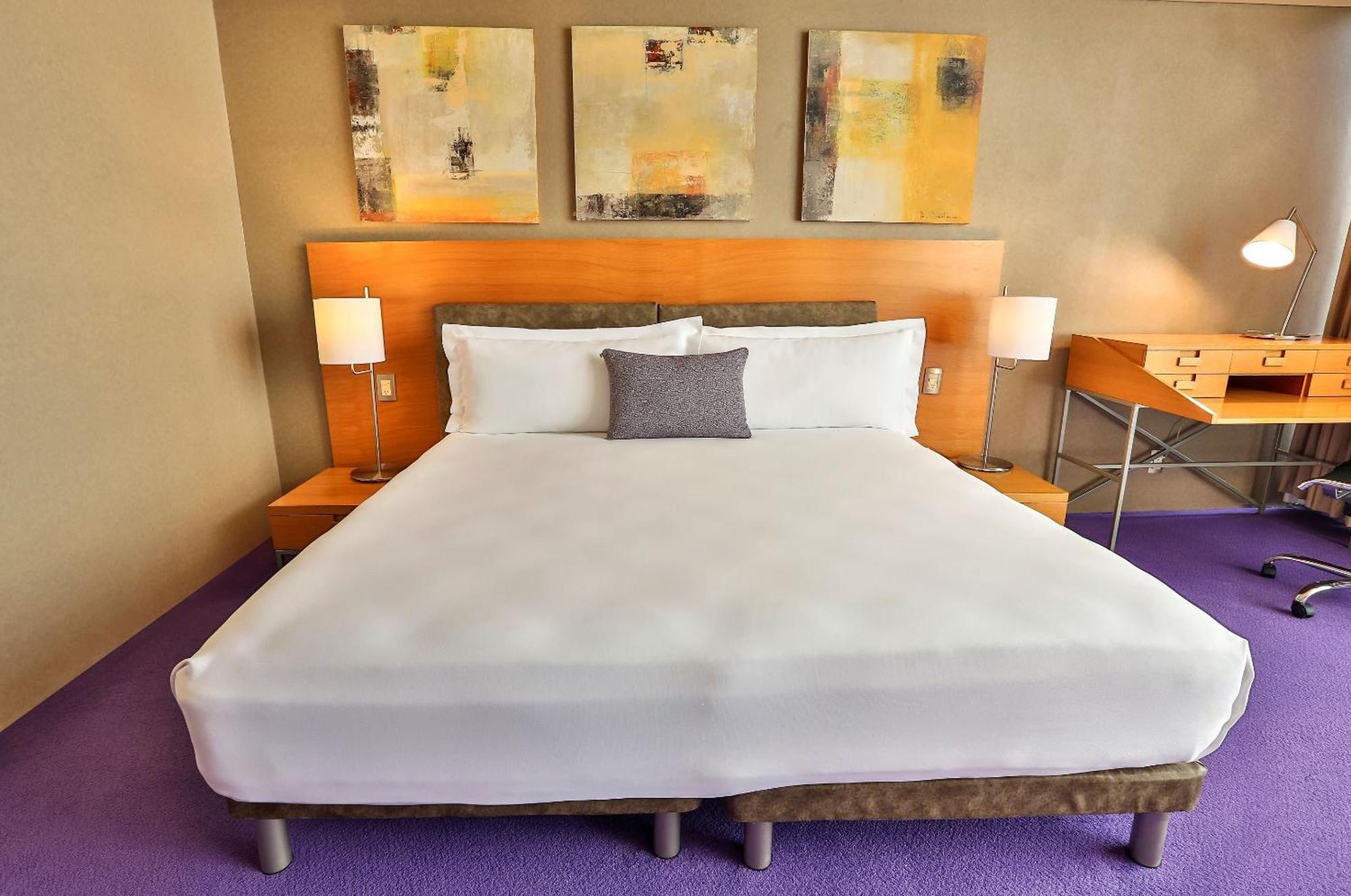 Camino Real Santa Fe Hotel Мексико Сити Екстериор снимка A room at the Standard East Village
